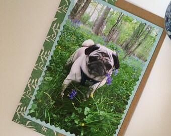 Bluebell Pug card for any occasion