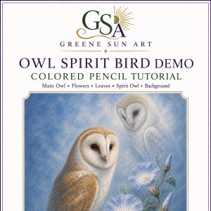 May include: A coloured pencil tutorial titled Owl Spirit Bird Demo by Greene Sun Art. The cover features a detailed illustration of two barn owls and blue flowers against a soft blue background, with text listing the tutorial sections.