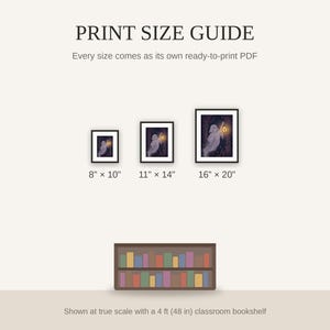 Print size guide showing 8x10, 11x14, and 16x20 framed prints at true scale beside a classroom bookshelf