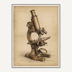 Sepia microscope illustration on aged paper