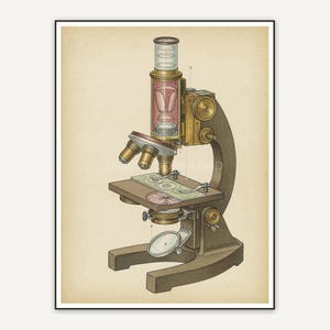 vintage microscope diagram in muted earth tones