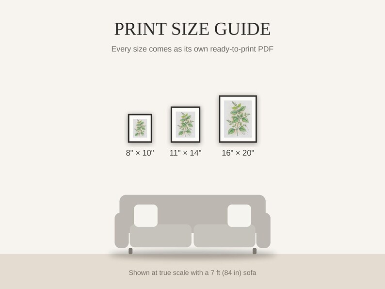 Print size guide showing 8x10, 11x14, and 16x20 framed prints at true scale beside a sofa