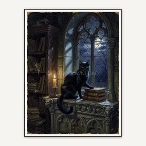 Gothic black cat on library windowsill at night