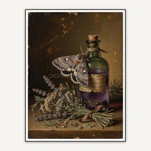 Vintage oil painting of moth on potion bottle