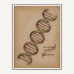 dna double helix vintage style