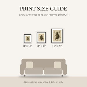 Print size guide showing 8x10, 11x14, and 16x20 framed prints at true scale beside a sofa