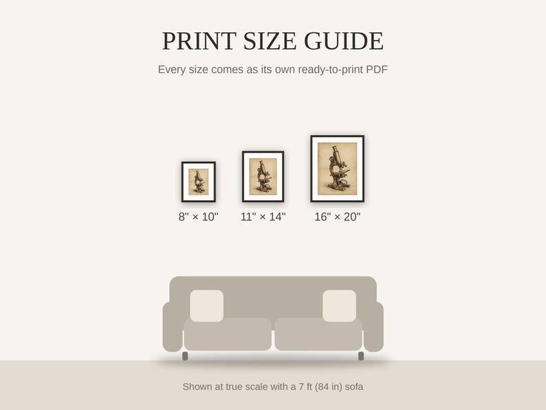 Print size guide showing 8x10, 11x14, and 16x20 framed prints at true scale beside a sofa