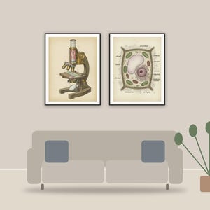 vintage science lab prints printable art framed above a sofa in a styled living room