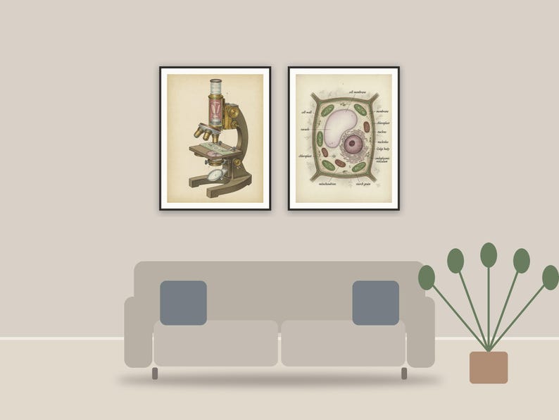 vintage science lab prints printable art framed above a sofa in a styled living room