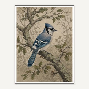 vintage blue jay in tree print
