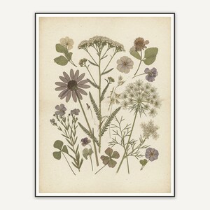 Pressed wildflower botanical print in muted earth tones