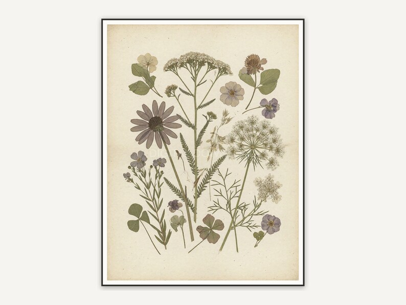 Pressed wildflower botanical print in muted earth tones