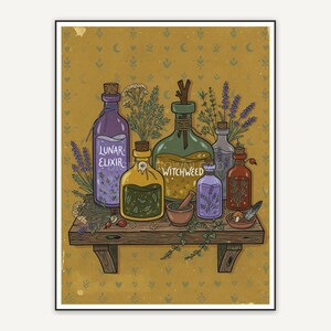 Potion bottles and herbs on kitchen shelf
