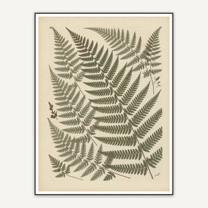 Pressed fern botanical print in muted earth tones
