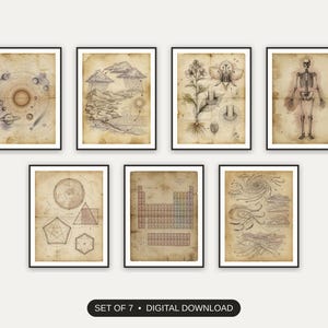 Set of 7 vintage educational prints printable prints shown as a gallery wall