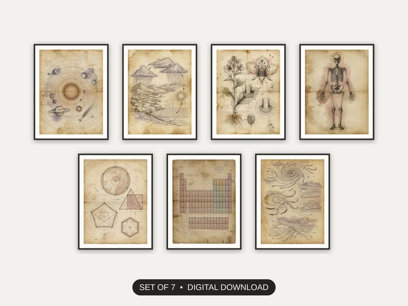 Set of 7 vintage educational prints printable prints shown as a gallery wall