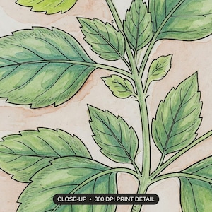 Close-up print detail of the kitchen herb prints artwork at 300 DPI