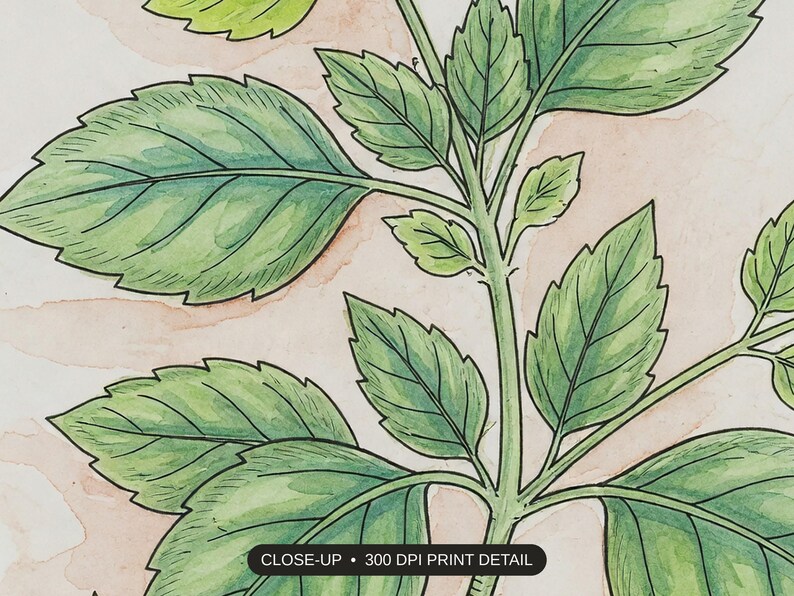 Close-up print detail of the kitchen herb prints artwork at 300 DPI