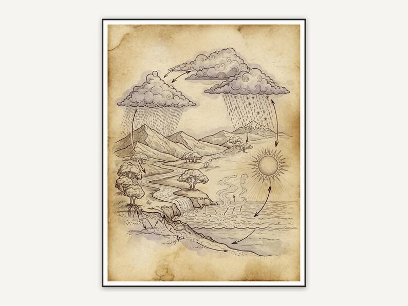 Vintage water cycle diagram print