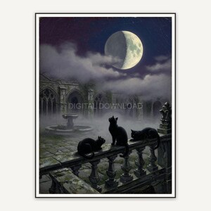 Waxing moon over courtyard with black cats