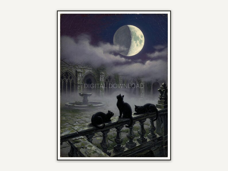 Waxing moon over courtyard with black cats