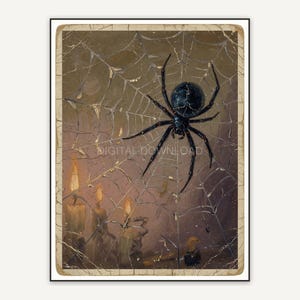 Vintage oil painting postcard of a spider on its web