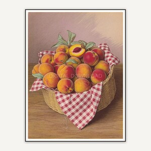 vintage basket with peaches print