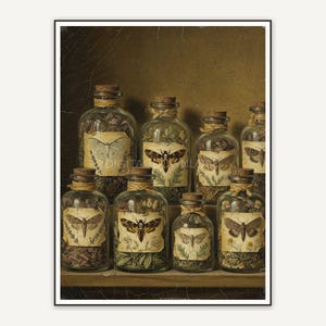 Vintage oil painting of labeled apothecary jars