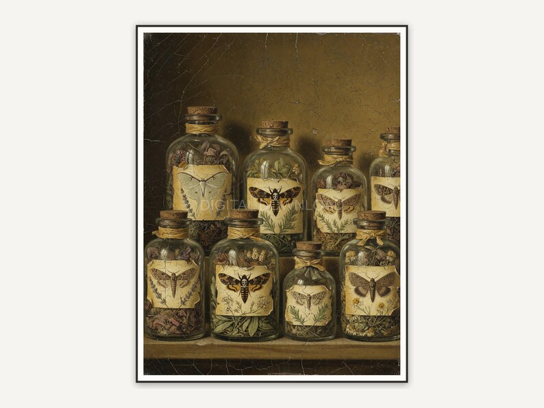 Vintage oil painting of labeled apothecary jars