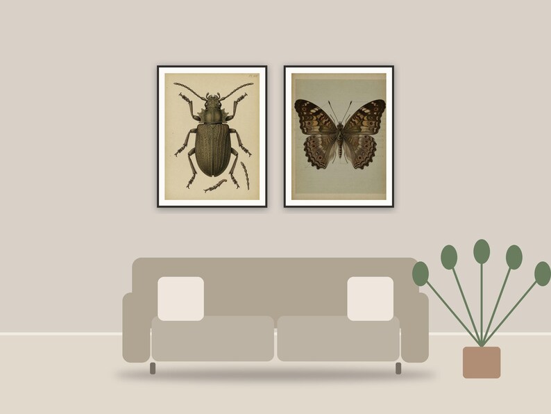 educational entomology art printable art framed above a sofa in a styled living room