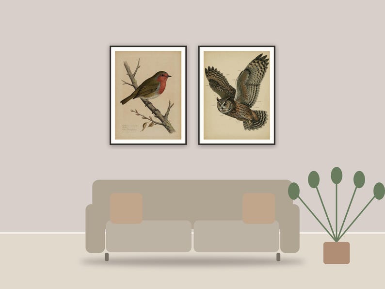 vintage ornithology illustrations printable art framed above a sofa in a styled living room
