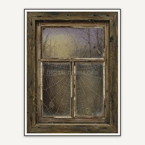 Vintage oil painting of spiderweb on old wooden window