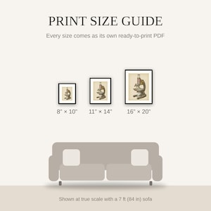 Print size guide showing 8x10, 11x14, and 16x20 framed prints at true scale beside a sofa