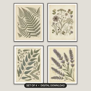Botanical Wall Art Set of 4 | Pressed Flower Prints | Living Room Decor Digital Download