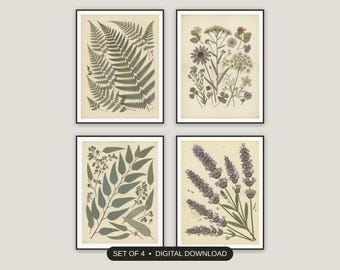 Botanical Wall Art Set of 4 | Pressed Flower Prints | Living Room Decor Digital Download