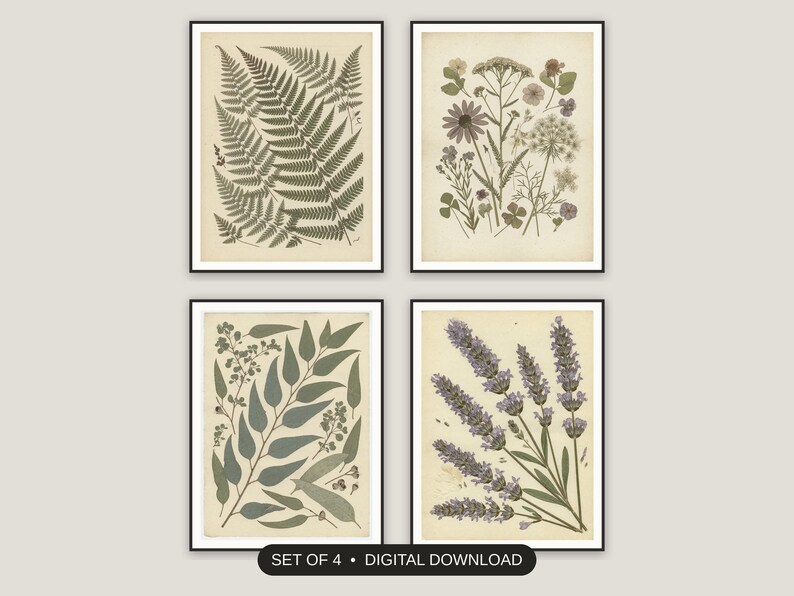 Botanical Wall Art Set of 4 | Pressed Flower Prints | Living Room Decor Digital Download