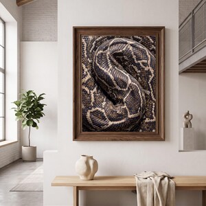 Lámina artística con estampado de piel de pitón, decoración de pared para galería en color marrón (descarga digital)