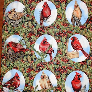 State Birds van Susan Ellis voor Northcott, # 646, 100% katoenen stof, OOP