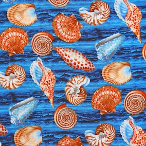 May include: A blue background with a variety of seashells in different colors and patterns. The shells are arranged in a random pattern and some are overlapping.