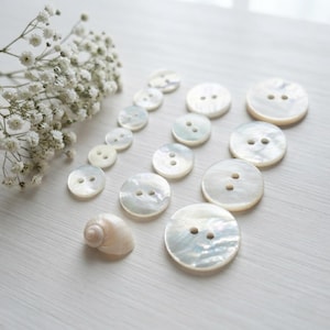 May include: A collection of round, iridescent mother-of-pearl buttons in varying sizes, each featuring two central holes. The buttons are arranged in rows alongside a small, spiraled seashell and a cluster of delicate white baby's breath flowers.