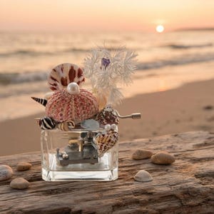 May include: A clear glass music box mechanism topped with a collection of seashells, including a pink sea urchin, white pearl beads, and a white dried floral element. The mechanical metal components are visible through the transparent glass base.