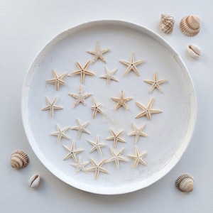 May include: A collection of small, light beige starfish arranged inside a round, white shallow tray. Several brown and white striped seashells are scattered around the exterior of the tray on a plain, light-coloured surface.