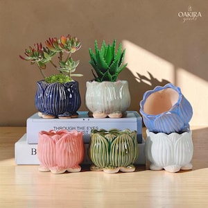 May include: A collection of six ceramic flower-shaped planters in various colors including dark blue, light green, pink, olive green, white, and light blue. Each planter features a ribbed petal design and a scalloped rim, with two holding succulents.