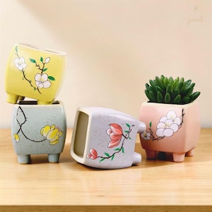 Peut inclure: Quatre pots de fleurs carrés en céramique avec quatre petits pieds chacun. Un jaune avec des fleurs blanches, un bleu clair avec des fleurs jaunes, un lavande avec des fleurs roses et un rose avec des fleurs blanches. Une plante succulente verte est incluse.