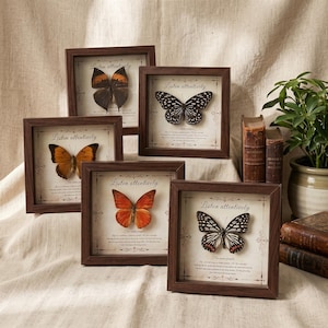 Puede incluir: Cinco marcos cuadrados de madera oscura que contienen mariposas preservadas montadas sobre papel blanco hueso. Cada marco presenta el texto Listen attentively y For some people impreso en letra negra. Las mariposas varían en color, incluyendo patrones naranjas, negros y blancos.