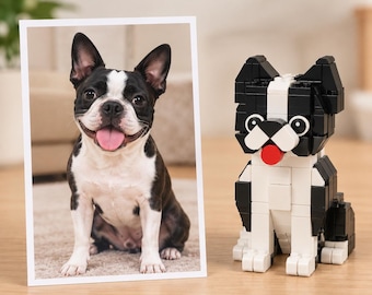 Kit fai-da-te personalizzato per costruire il tuo animale domestico a partire da una foto, mattoncini per cani e gatti, regalo per amanti degli animali.