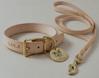 Set personalizzato di collare e guinzaglio per cani in pelle conciata al vegetale con fibbia in ottone.