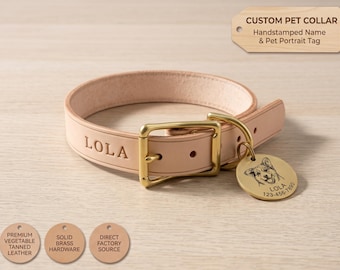 Collare per cani in pelle personalizzato con targhetta incisa con nome, fibbie in ottone massiccio, conciato al vegetale e stampato a mano, regalo personalizzato per gli amanti degli animali.