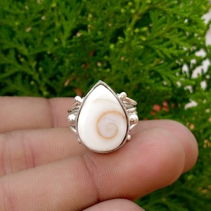May include: A silver ring featuring a teardrop-shaped Shiva eye shell as the centrepiece. The shell is white with a natural tan spiral pattern. The metal band has a decorative design with small silver spheres on each side of the setting.