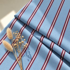 Puede incluir: Una tela azul claro con un patrón repetitivo de rayas verticales en color granate oscuro y líneas blancas finas. Un pequeño ramo de hierba de cola de conejo beige seca y delicadas flores blancas de paniculata descansa sobre el tejido plegado.